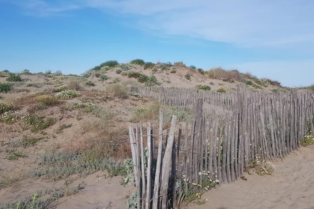 Marseillan-Plage Appartement Coeur De Sable 外观 照片
